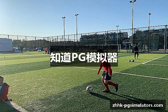 知道PG模拟器